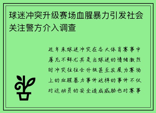 球迷冲突升级赛场血腥暴力引发社会关注警方介入调查