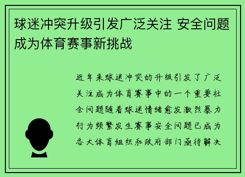 球迷冲突升级引发广泛关注 安全问题成为体育赛事新挑战
